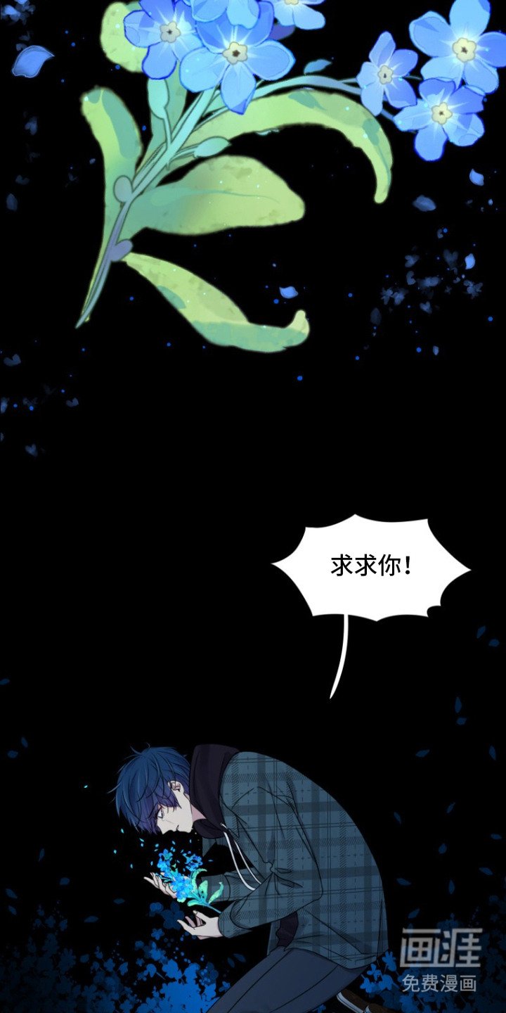 第2章：记不清了