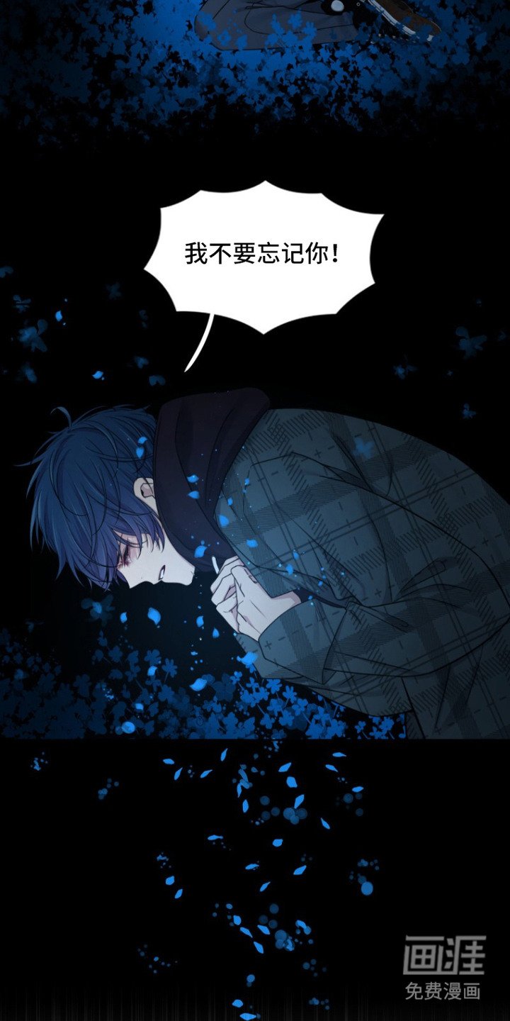 第2章：记不清了