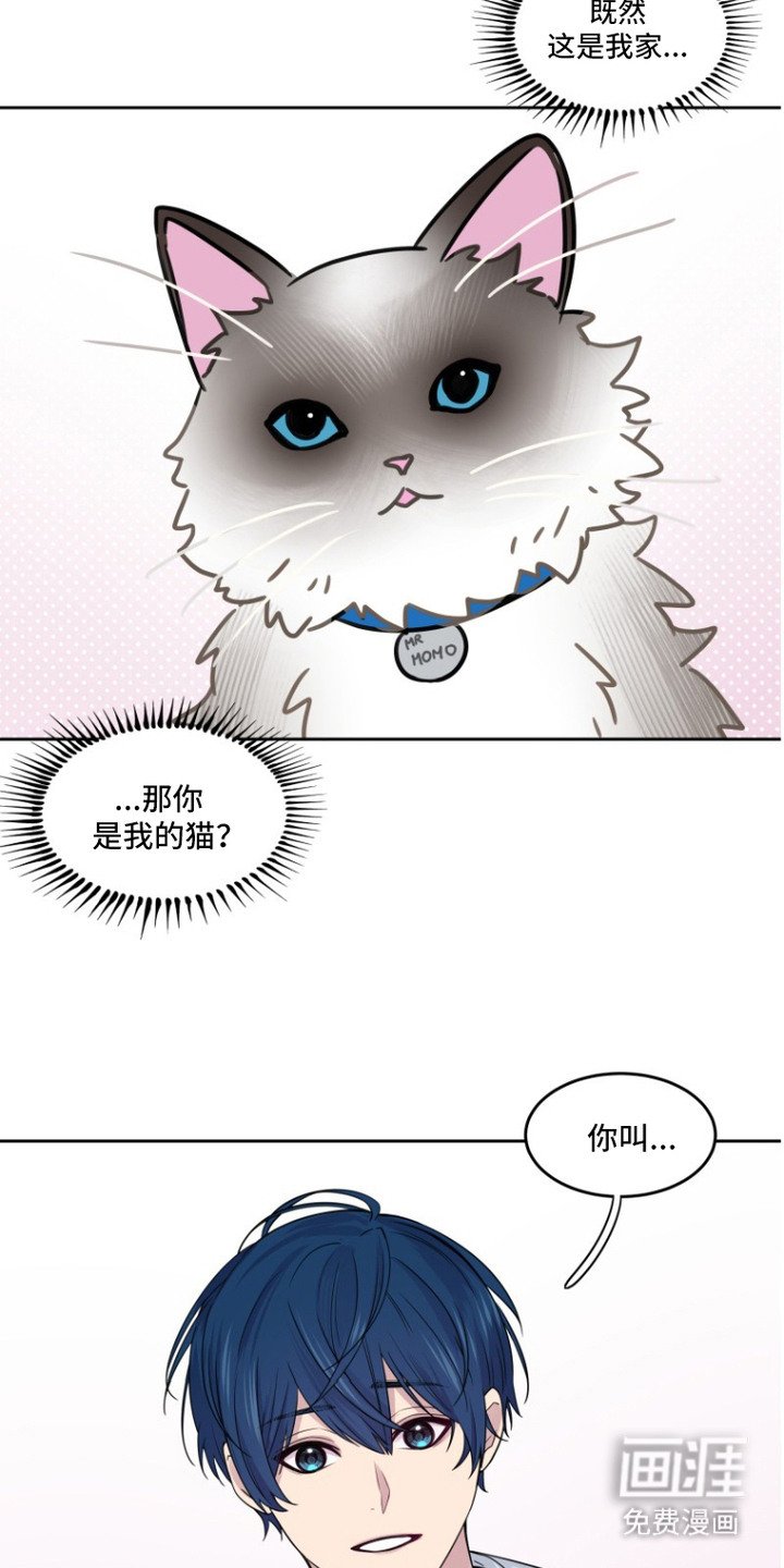 第5章：全忘了