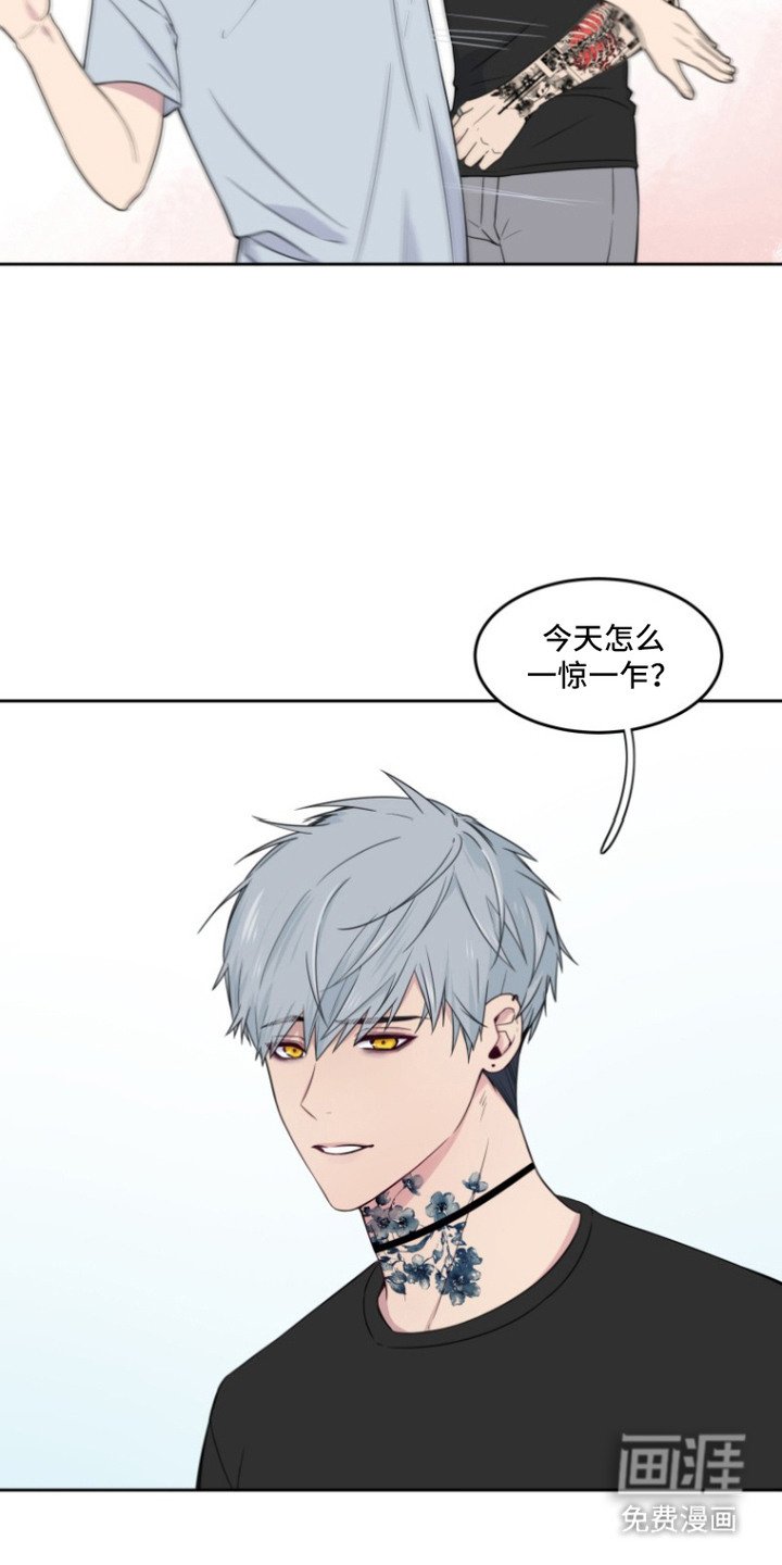 第6章：一惊一乍
