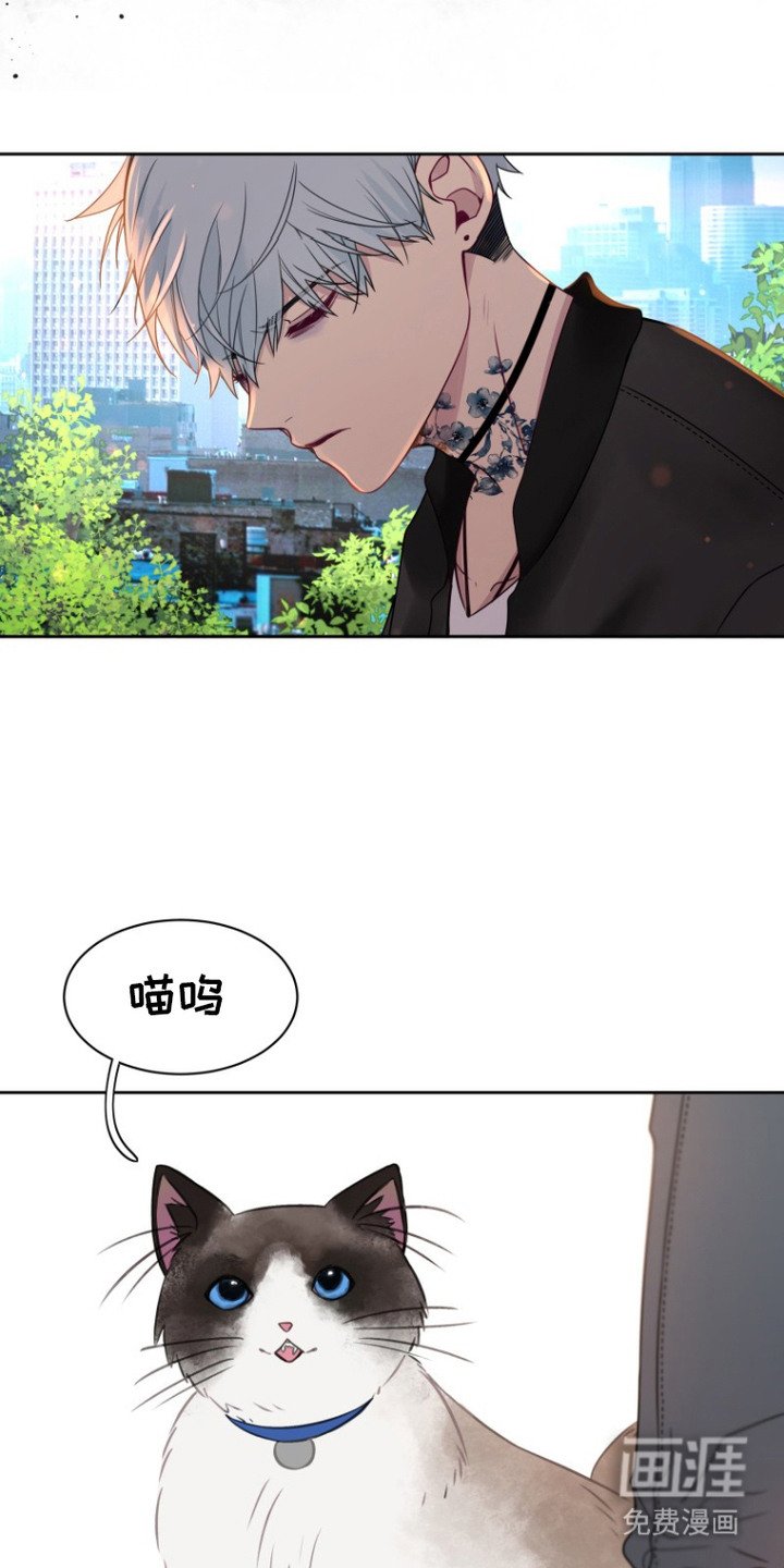 第9章：惊恐的表情 