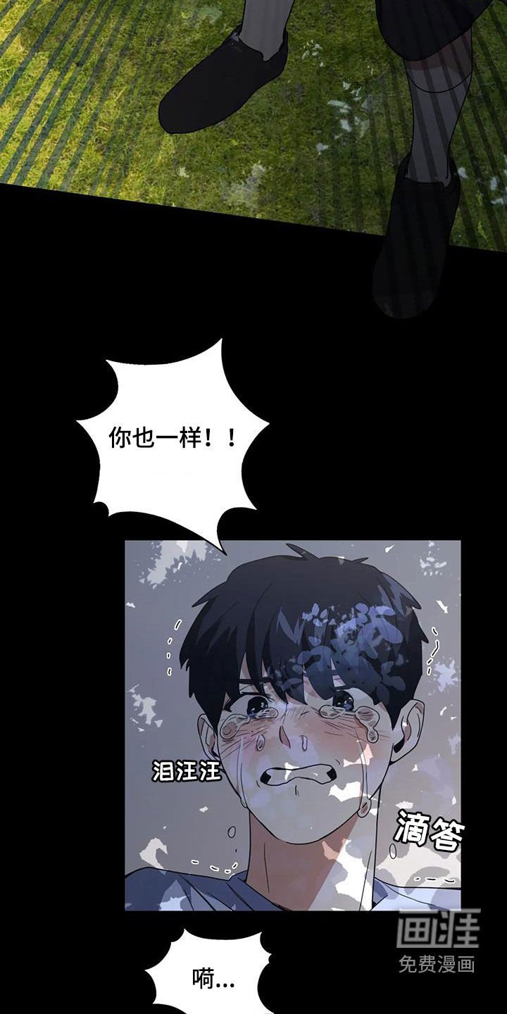 第21章：调查