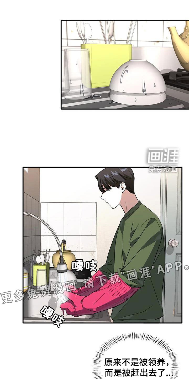 第21章：调查