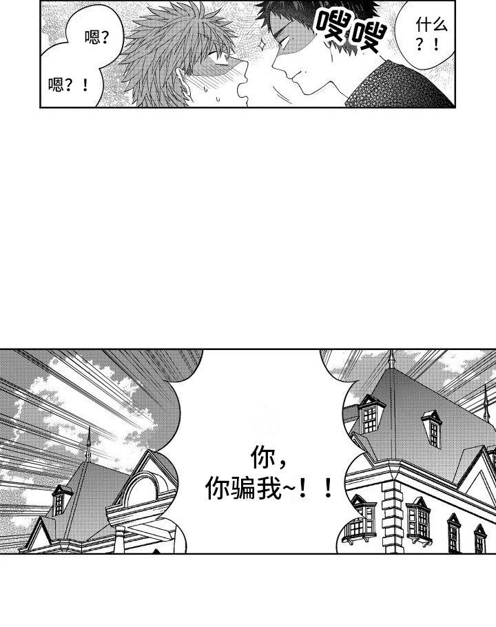 第12章：被骗了 