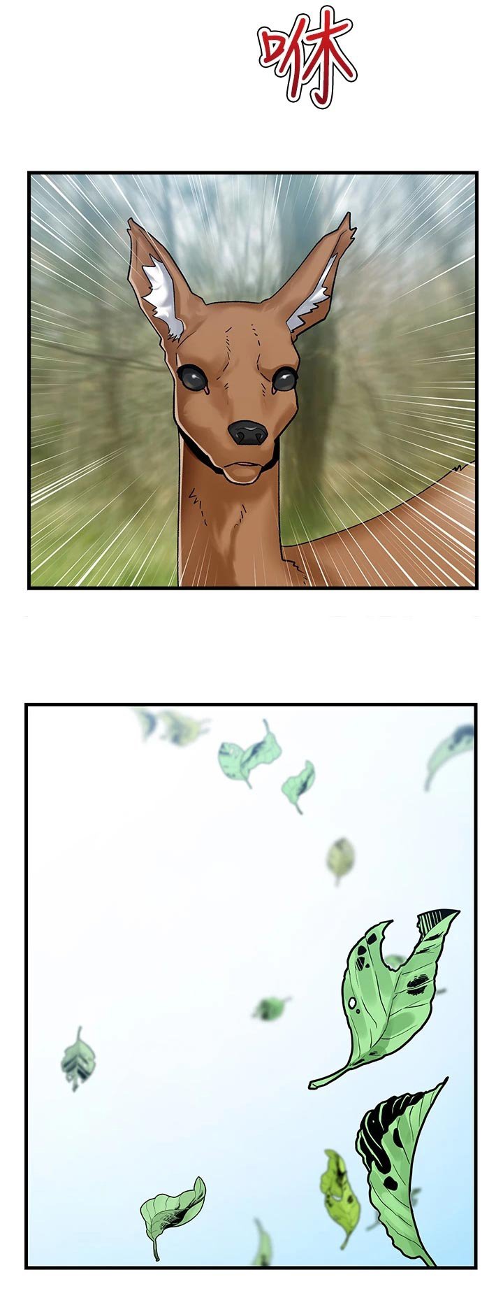 第14章：打猎