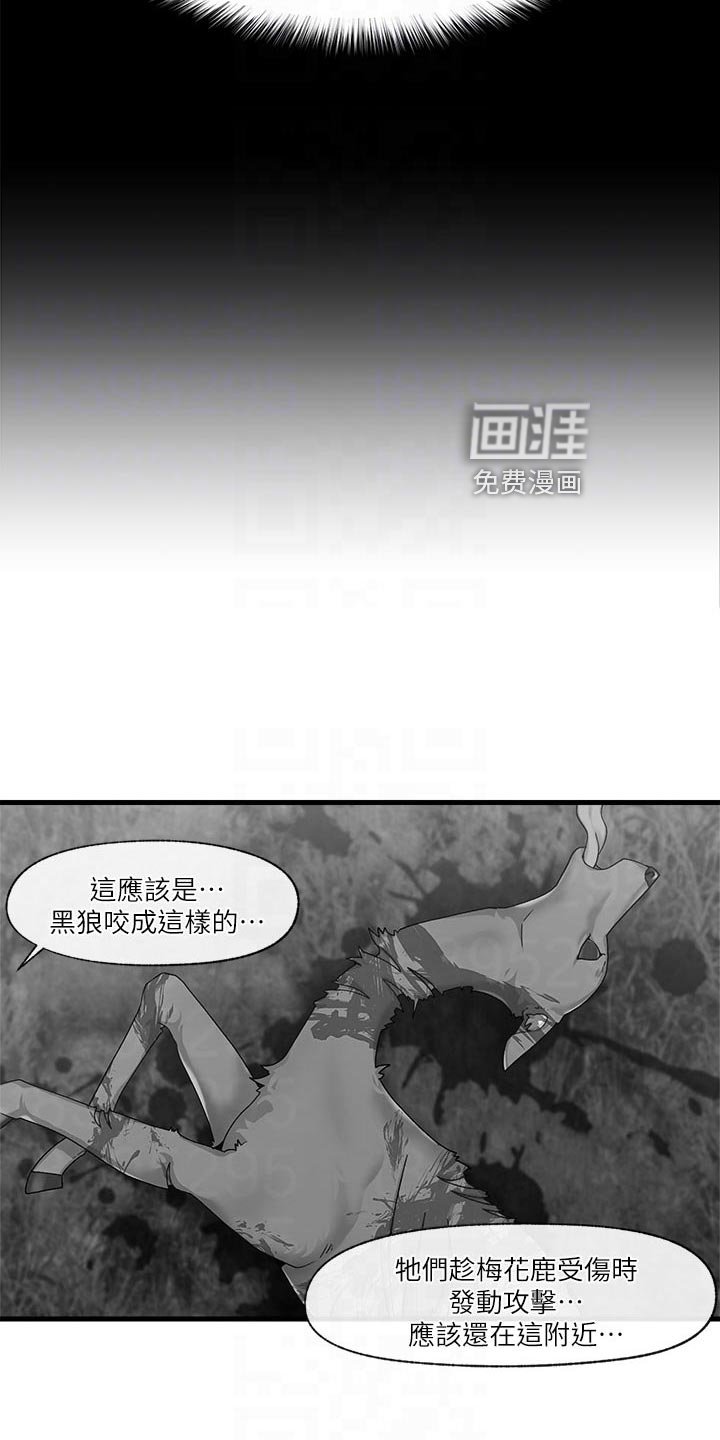 第15章：野狼