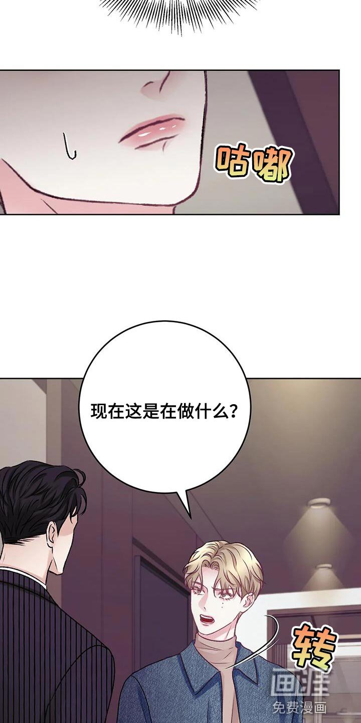 第19章：理解