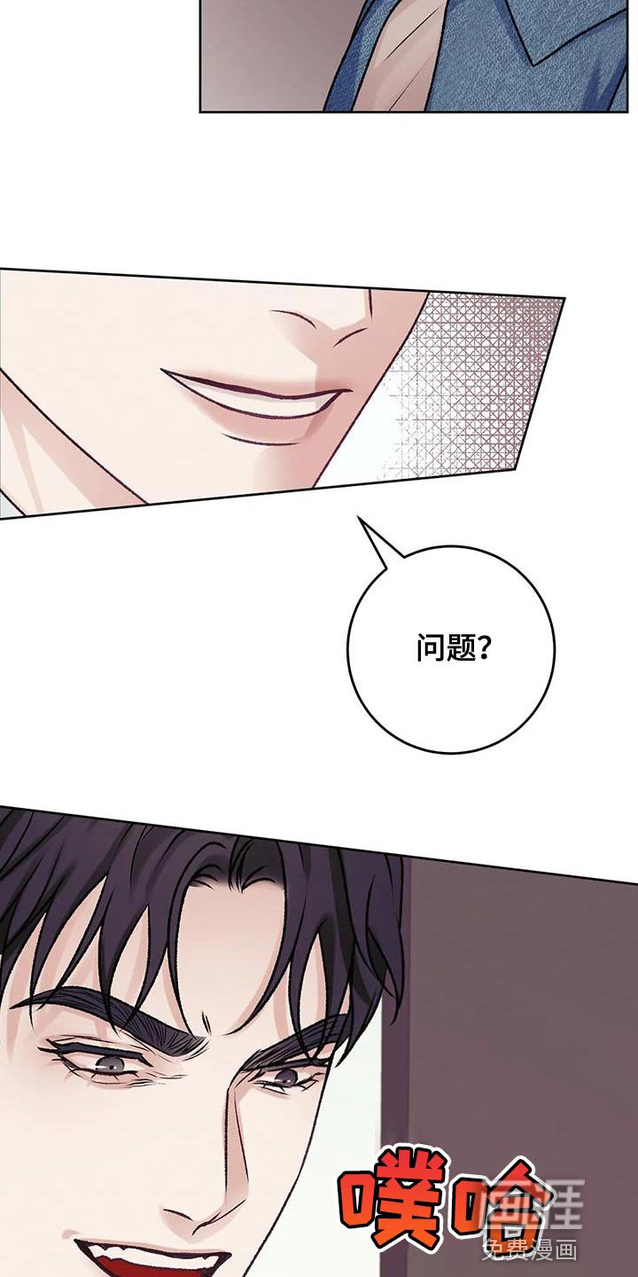 第19章：理解