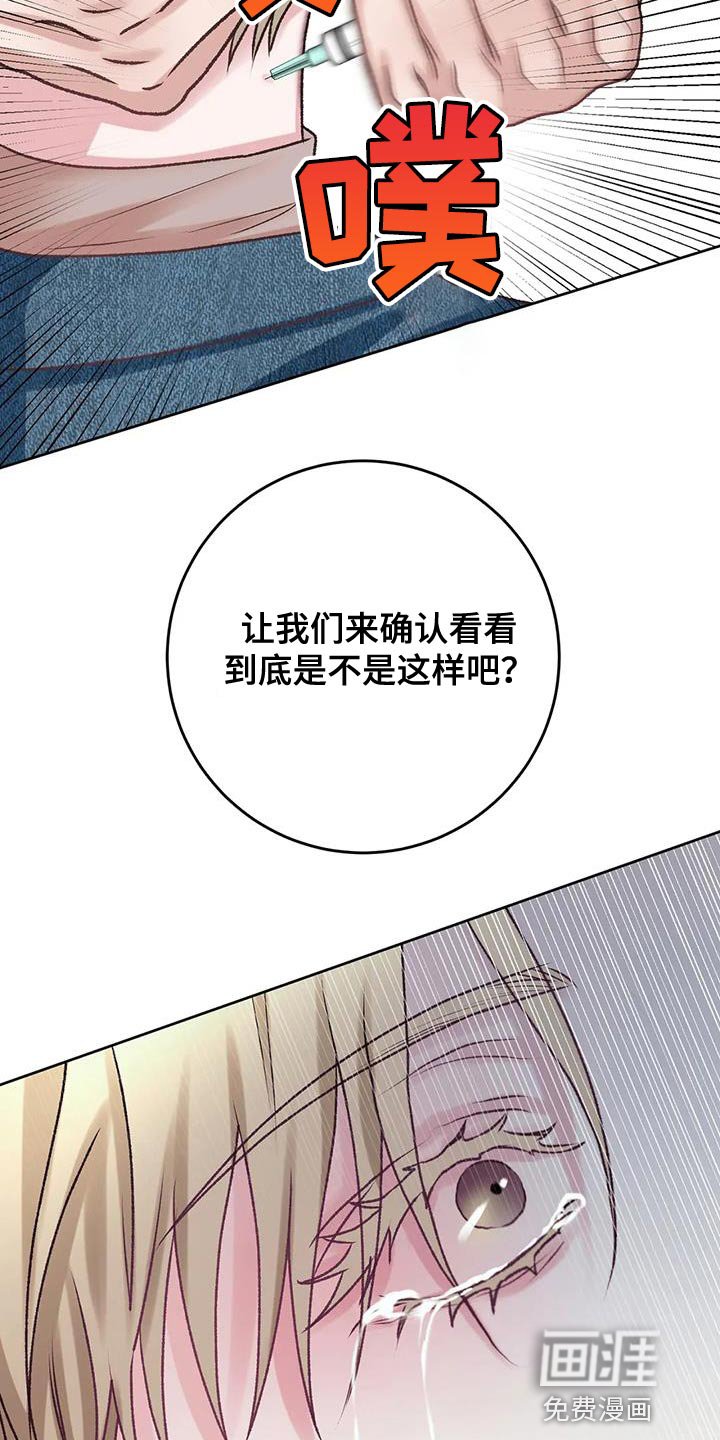 第19章：理解