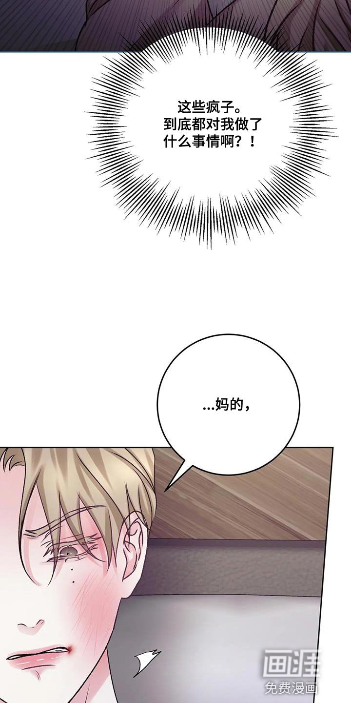 第21章：该死的理由