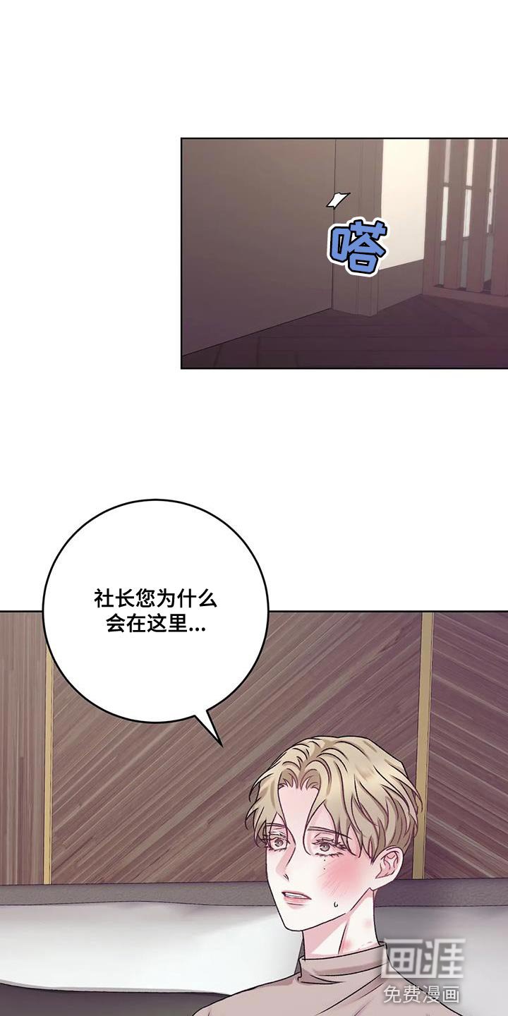 第21章：该死的理由