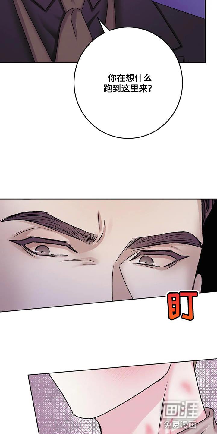 第21章：该死的理由