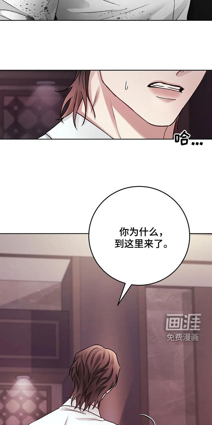 第38章：我们回家
