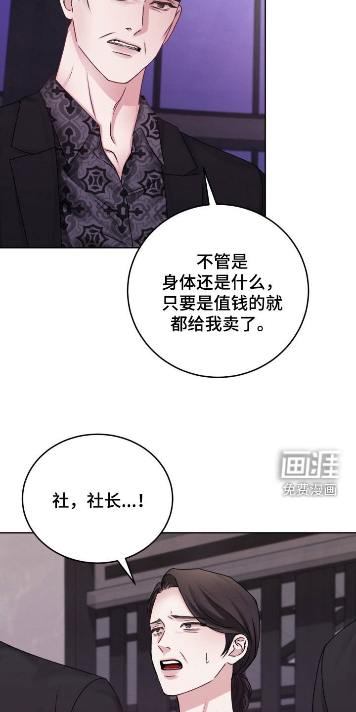 第44章：诱饵