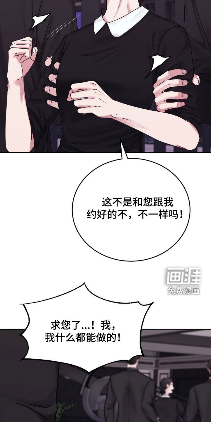 第44章：诱饵