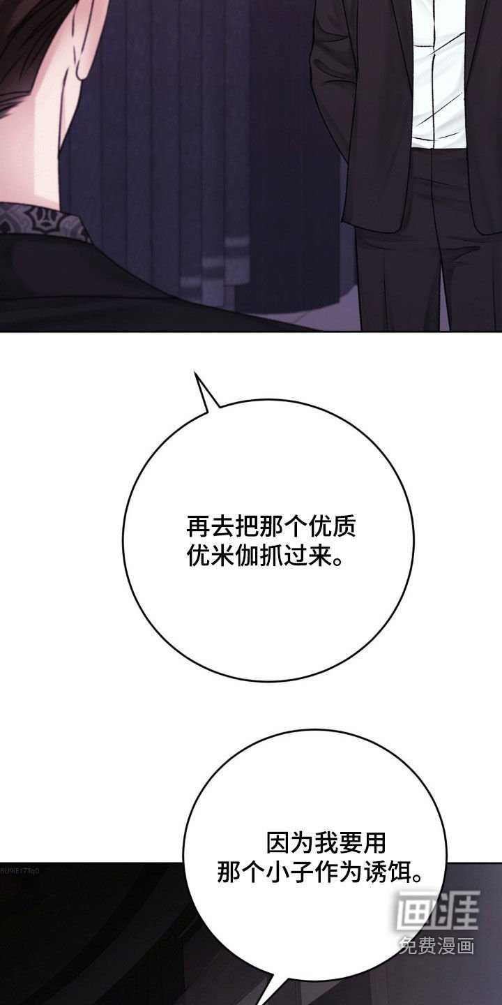 第44章：诱饵