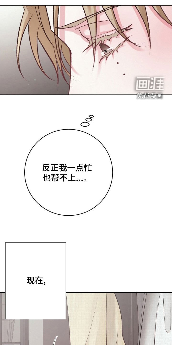 第51章：照片
