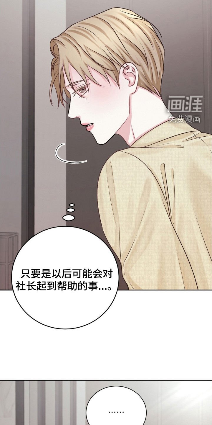 第51章：照片