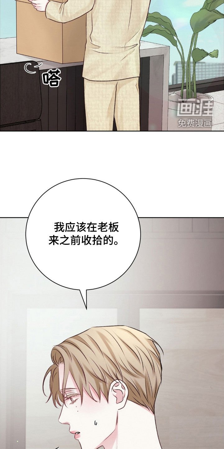 第51章：照片
