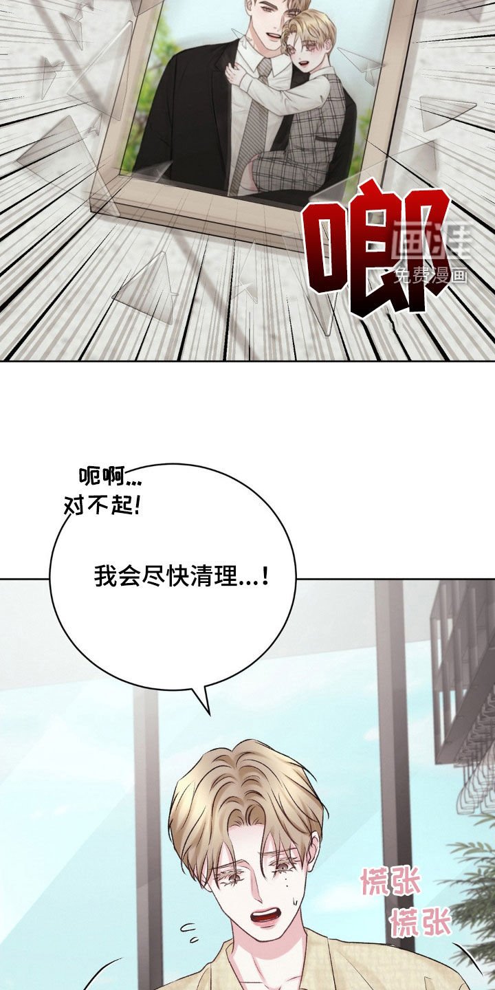 第51章：照片