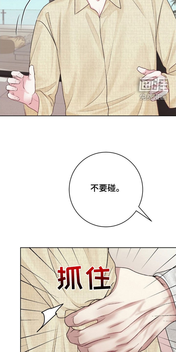 第51章：照片