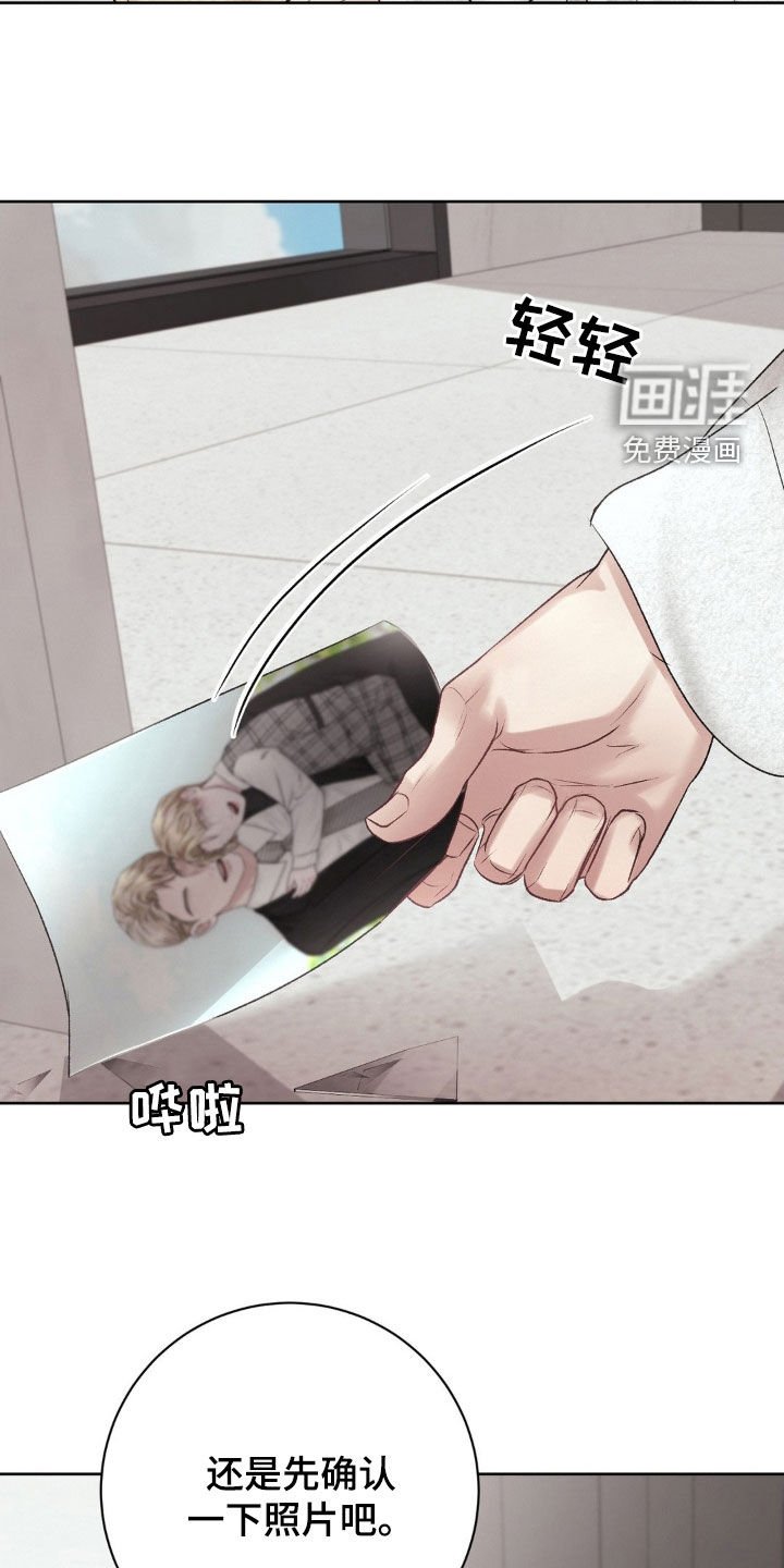 第51章：照片