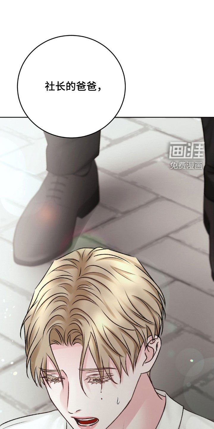 第53章：激动