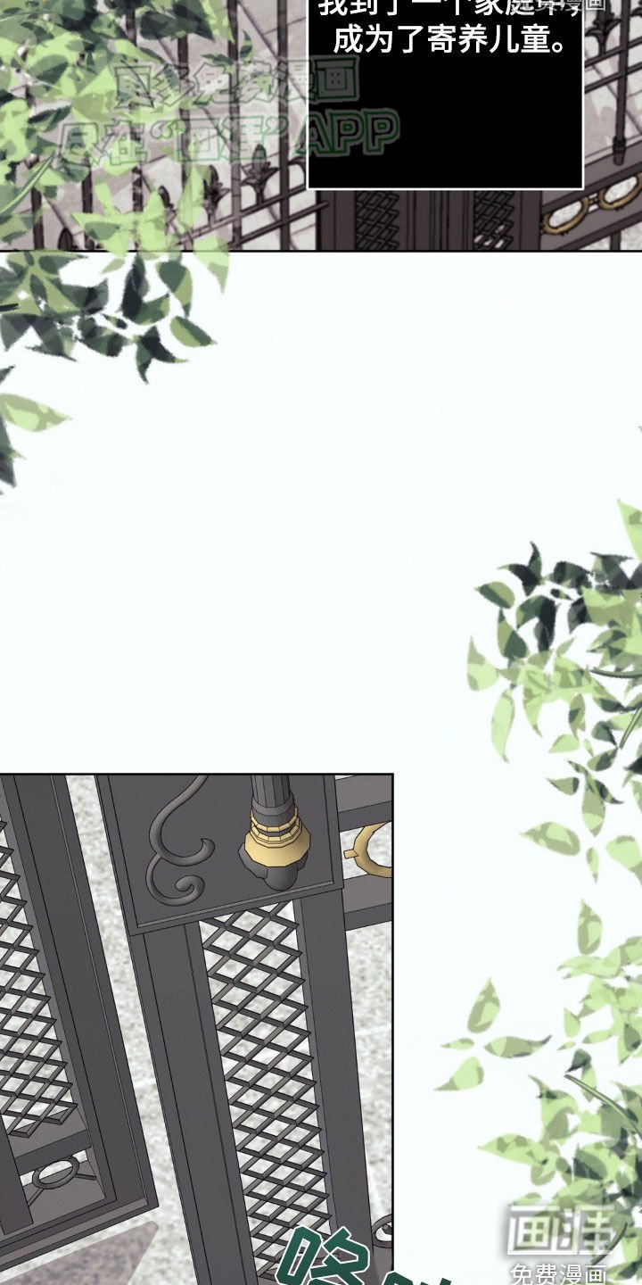 第57章：寄养