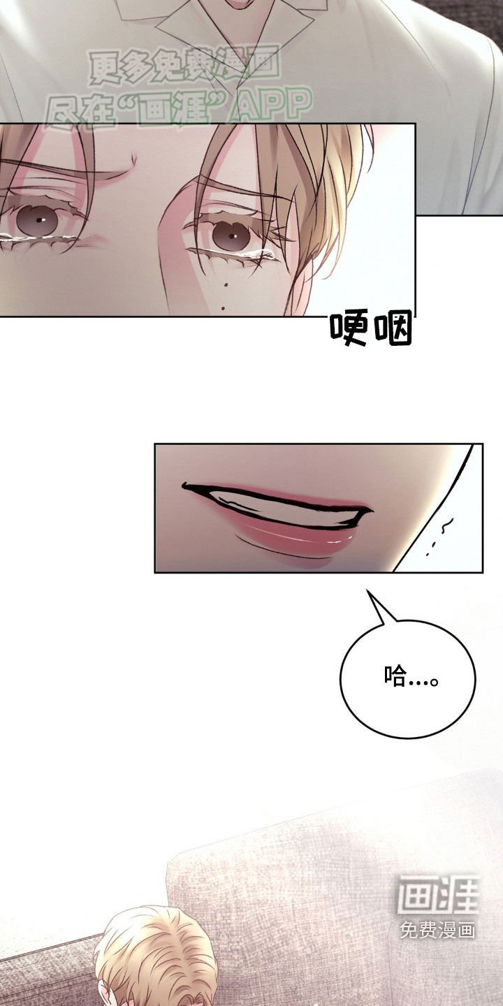 第64章：保护