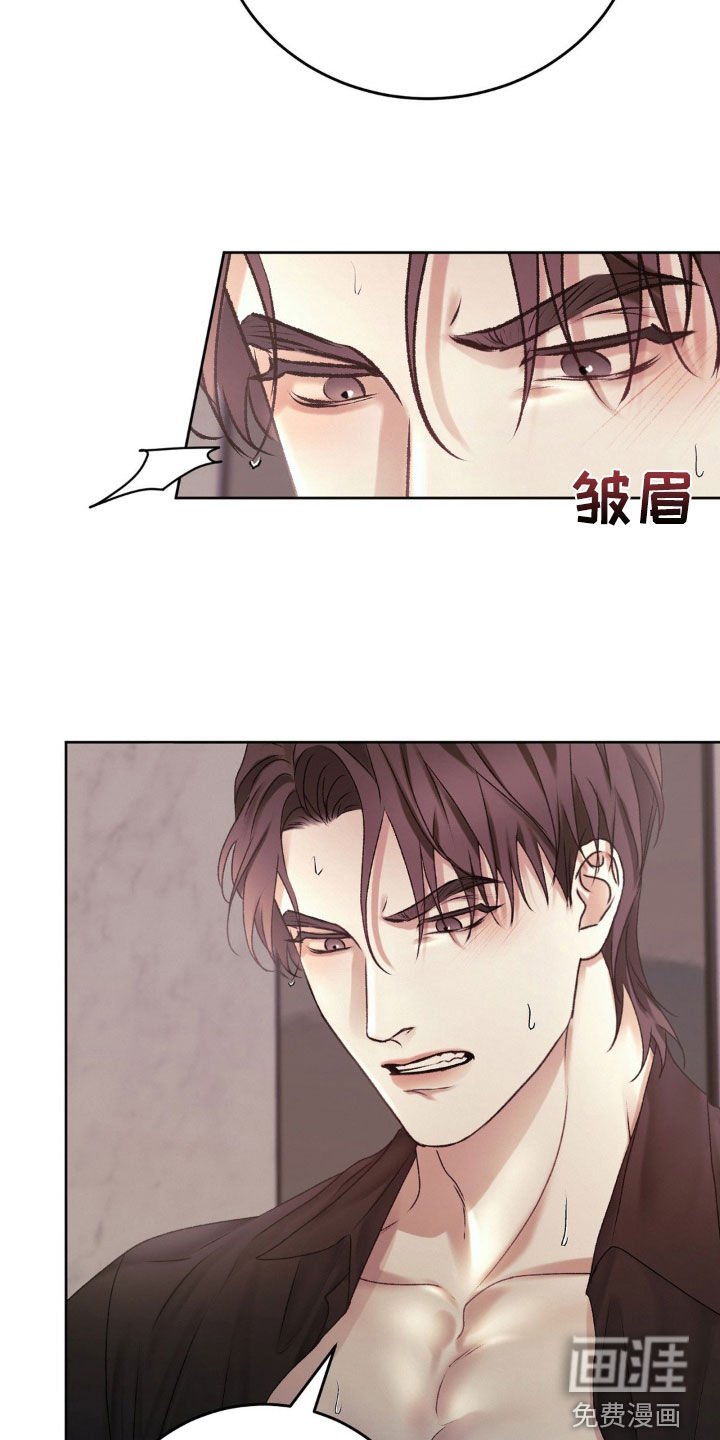 第66章：希望的关系