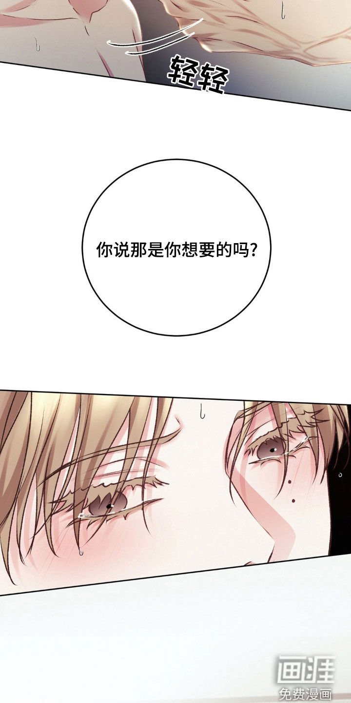 第66章：希望的关系