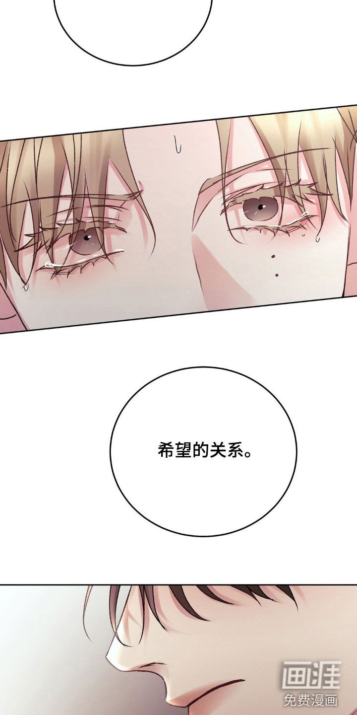 第66章：希望的关系