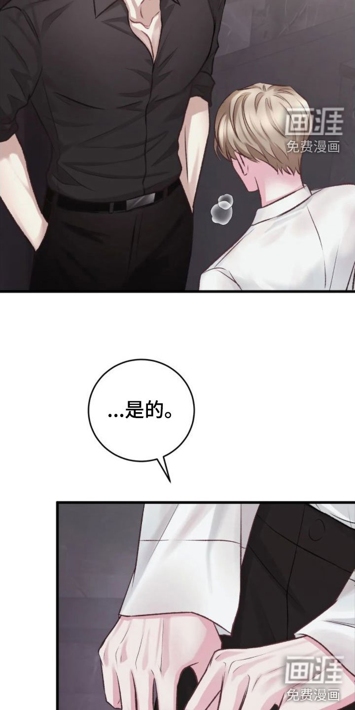 第7章：假象