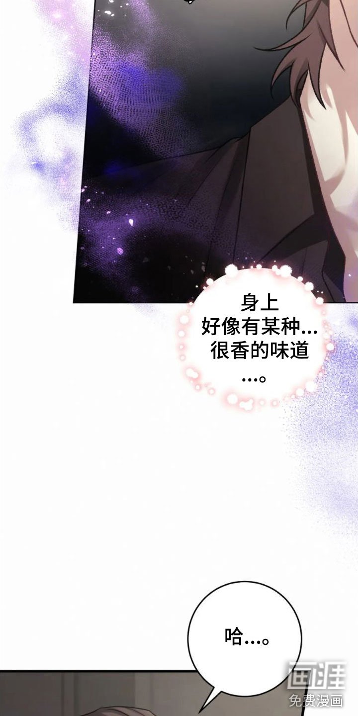 第7章：假象