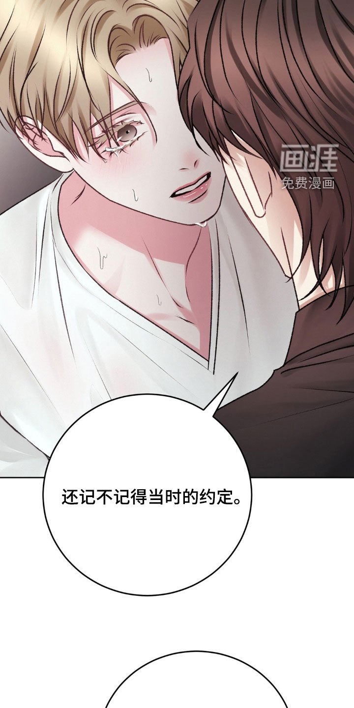 第72章：我只有你