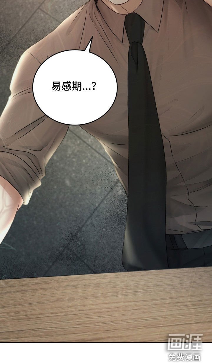 第77章：突如其来