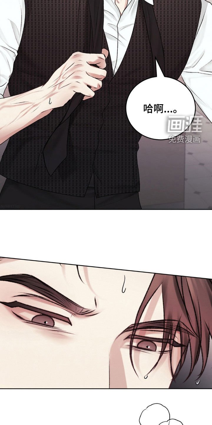 第81章：中刀