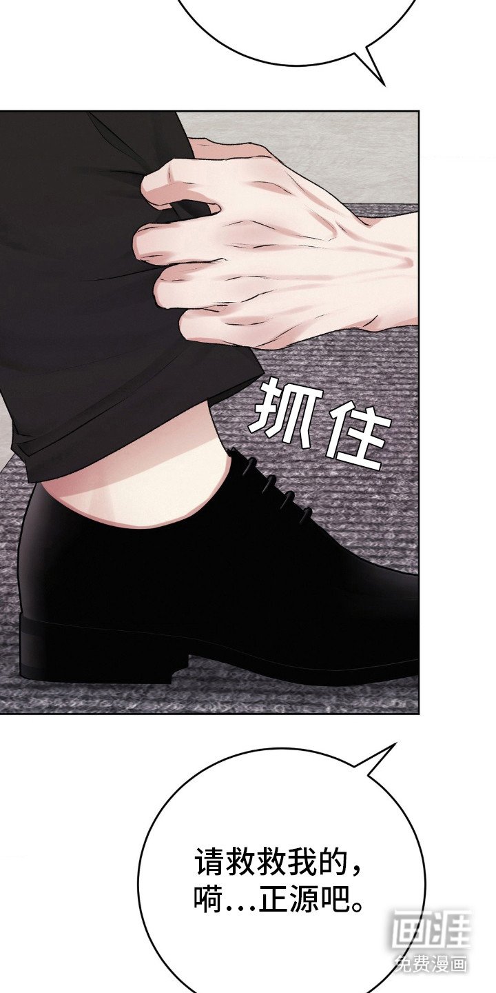 第95章：原谅我