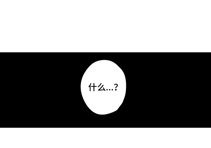 第11章：心墙