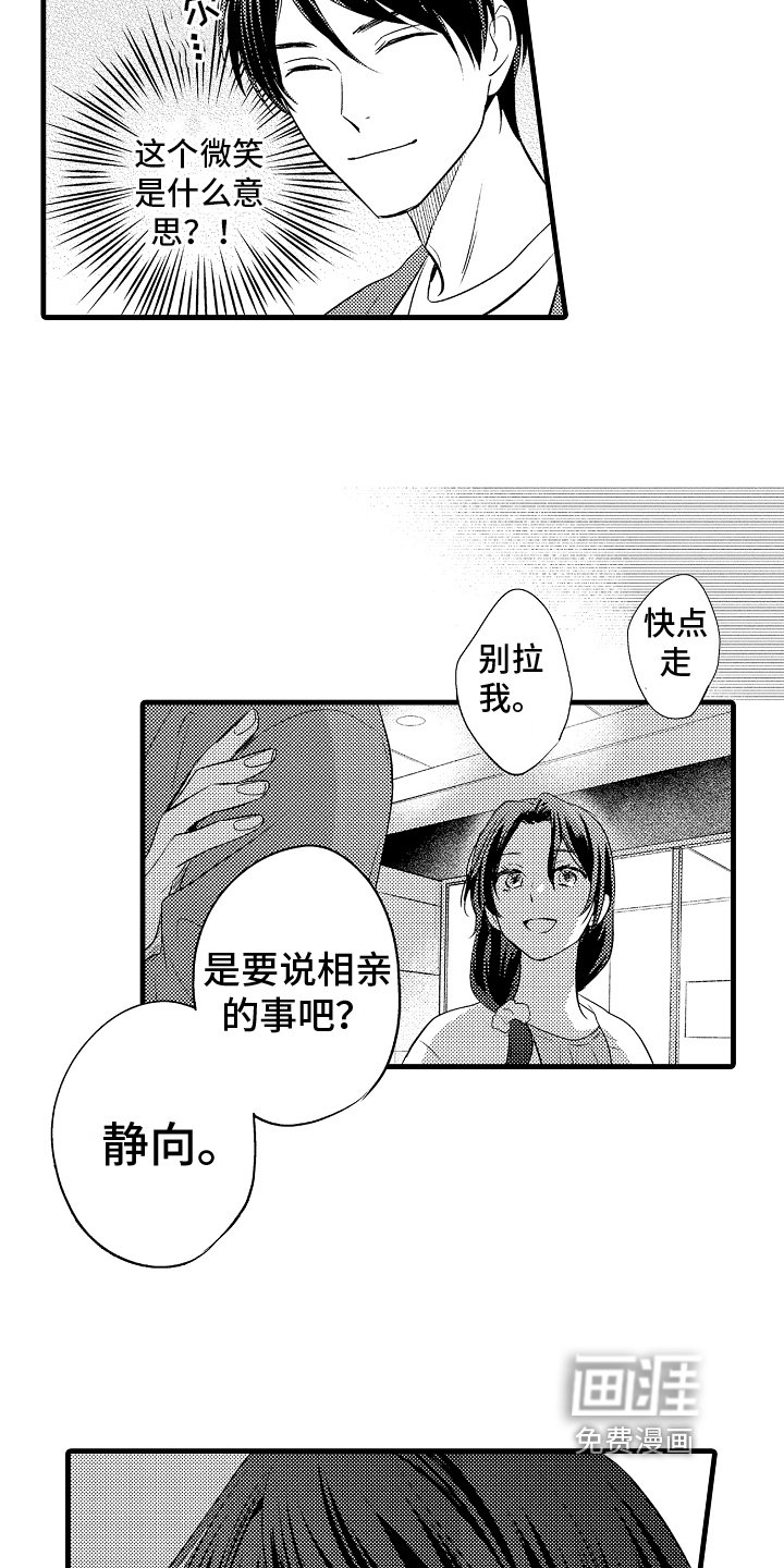 第14章：阴影