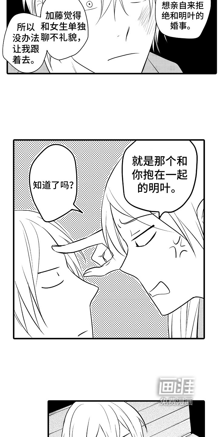 第14章：阴影