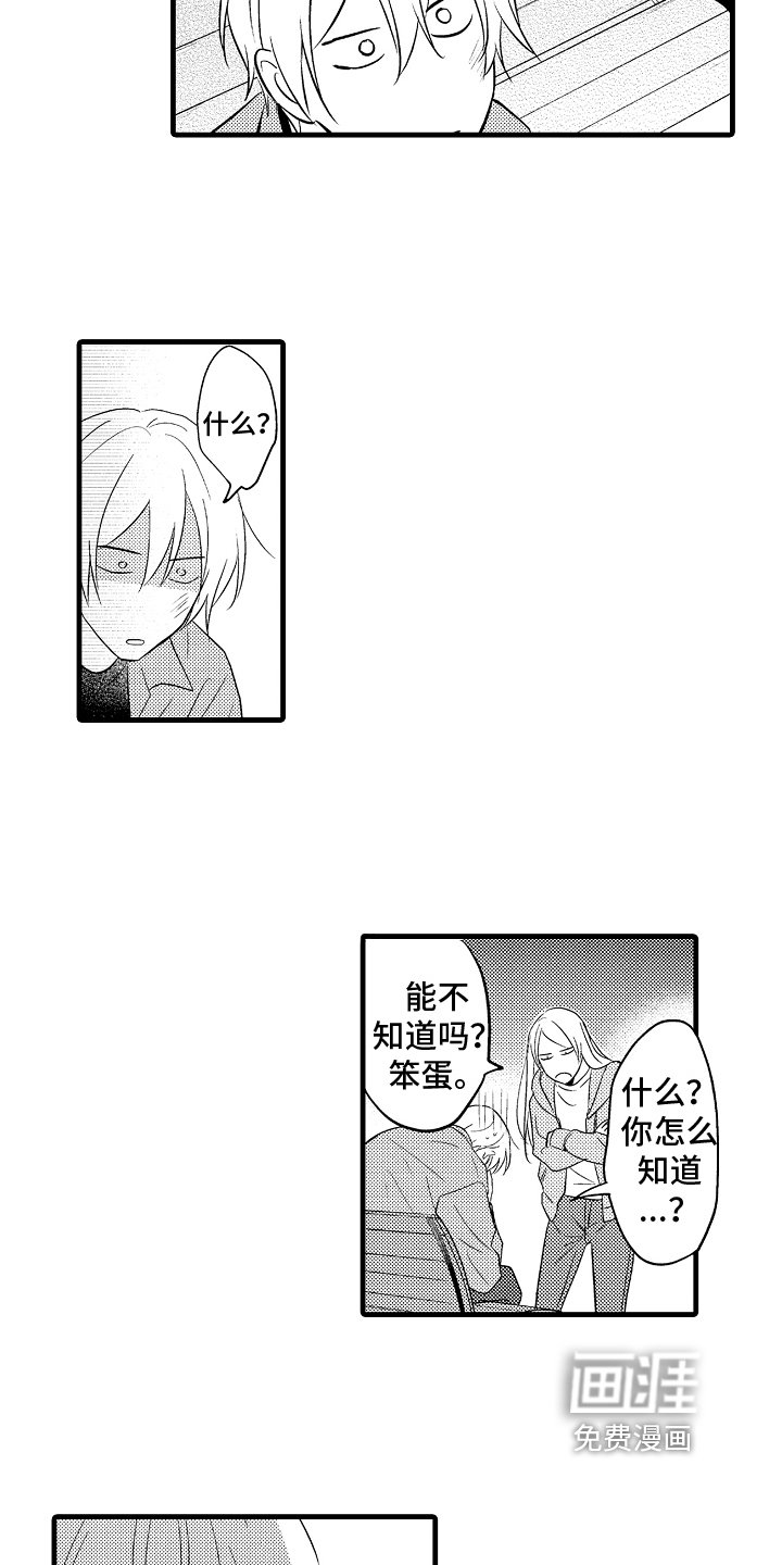第14章：阴影
