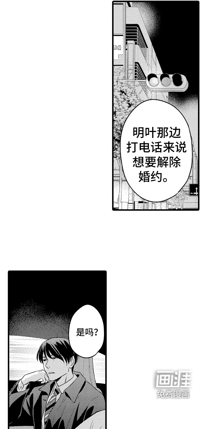 第24章：选择