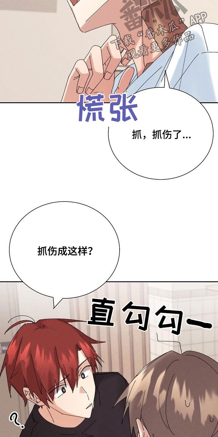第19章：少管闲事