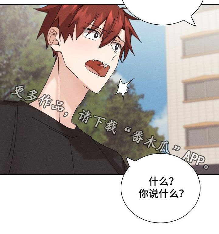 第21章：快递
