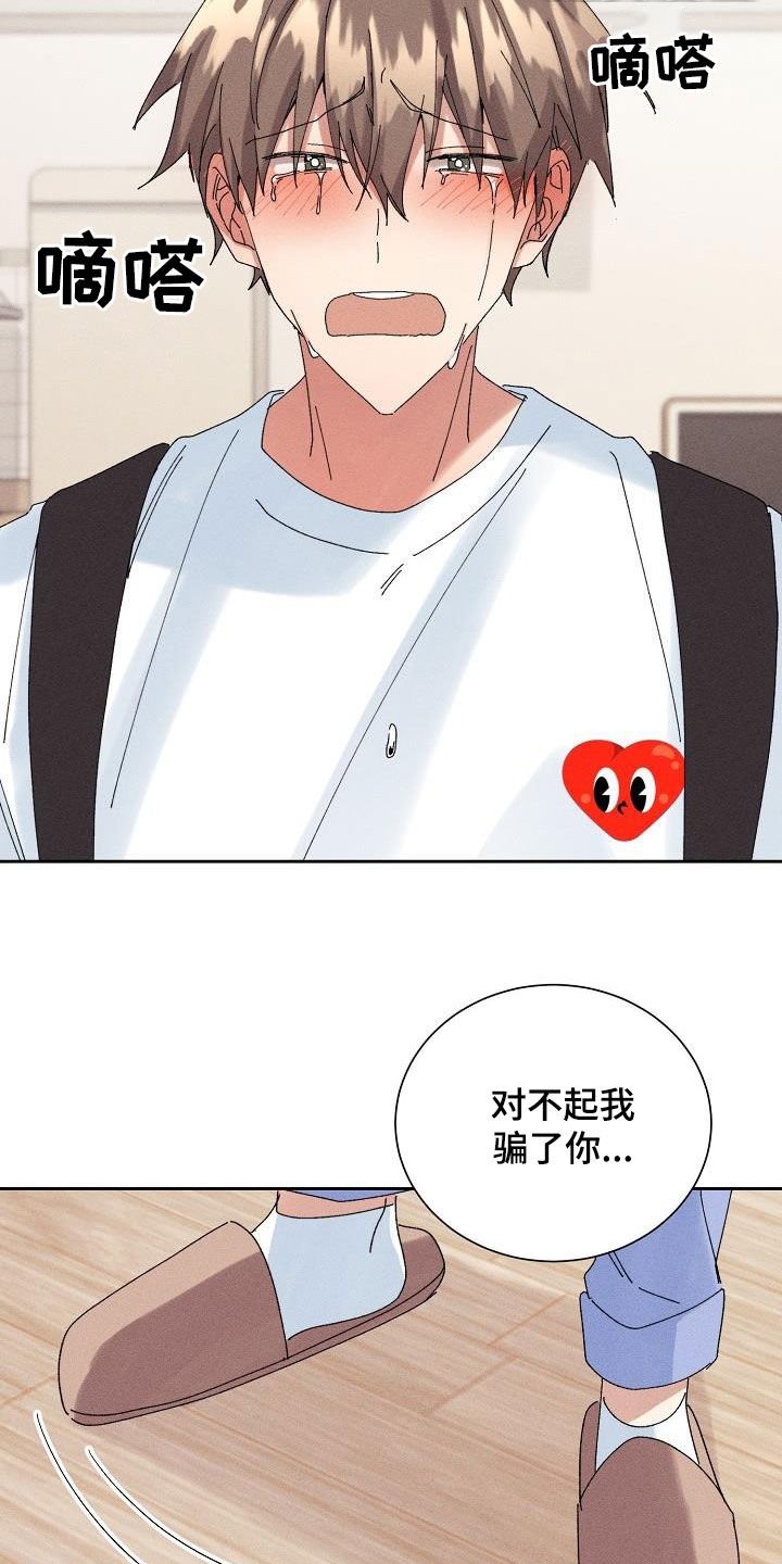 第24章：欺骗