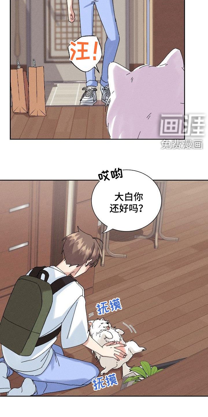 第28章：有喜欢的人