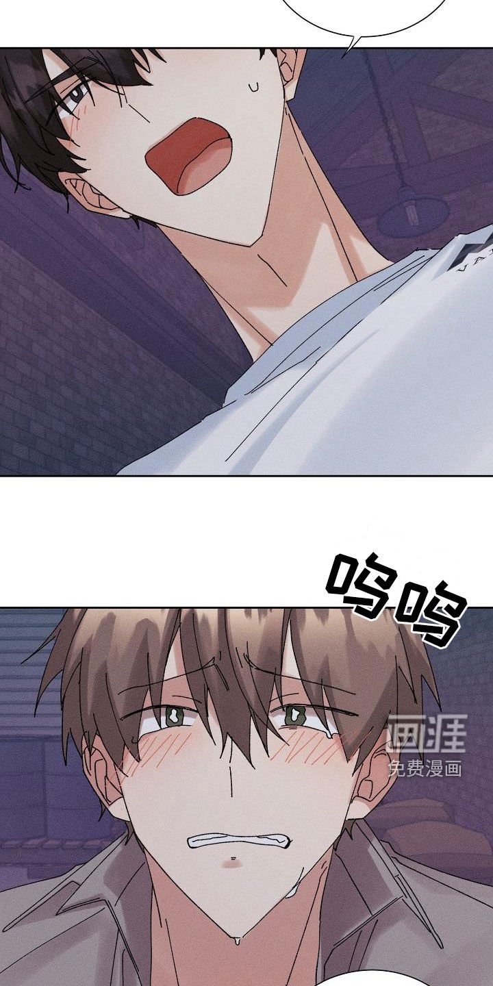 第36章：心意