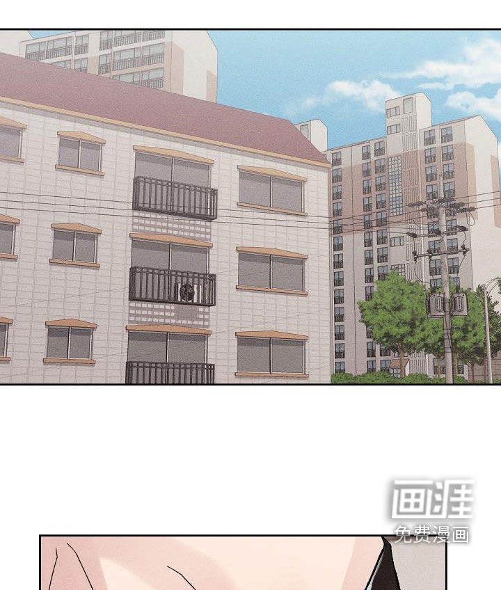 第48章：【番外完结】没有下次！