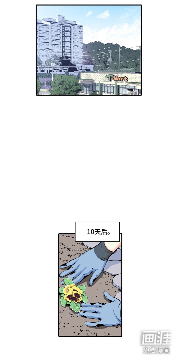 第5章：种花